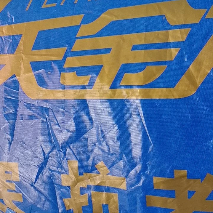 飞天金龙的330克的