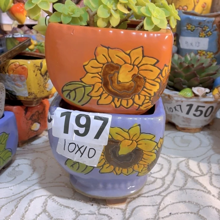 多肉花盆满15包邮