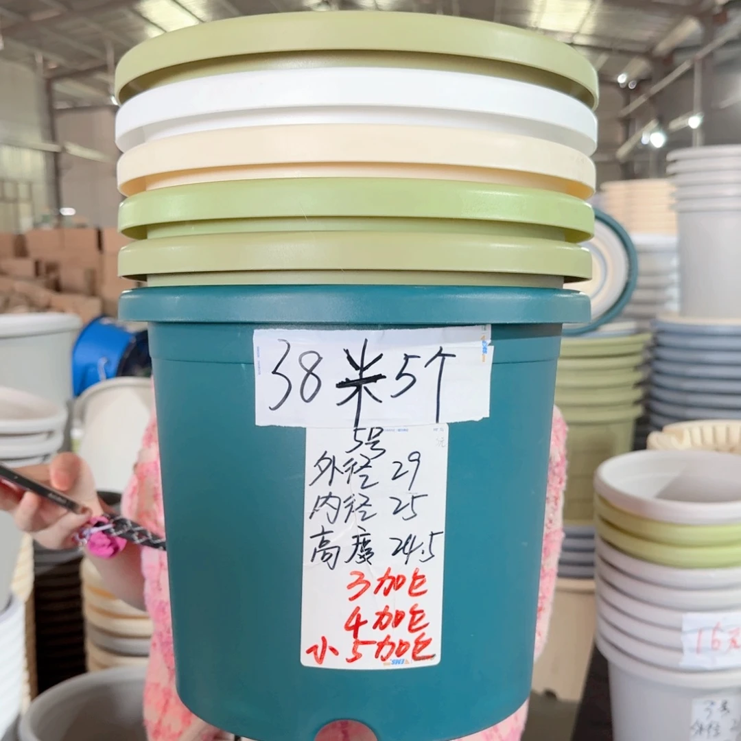 微瑕5#无拖果绿6个