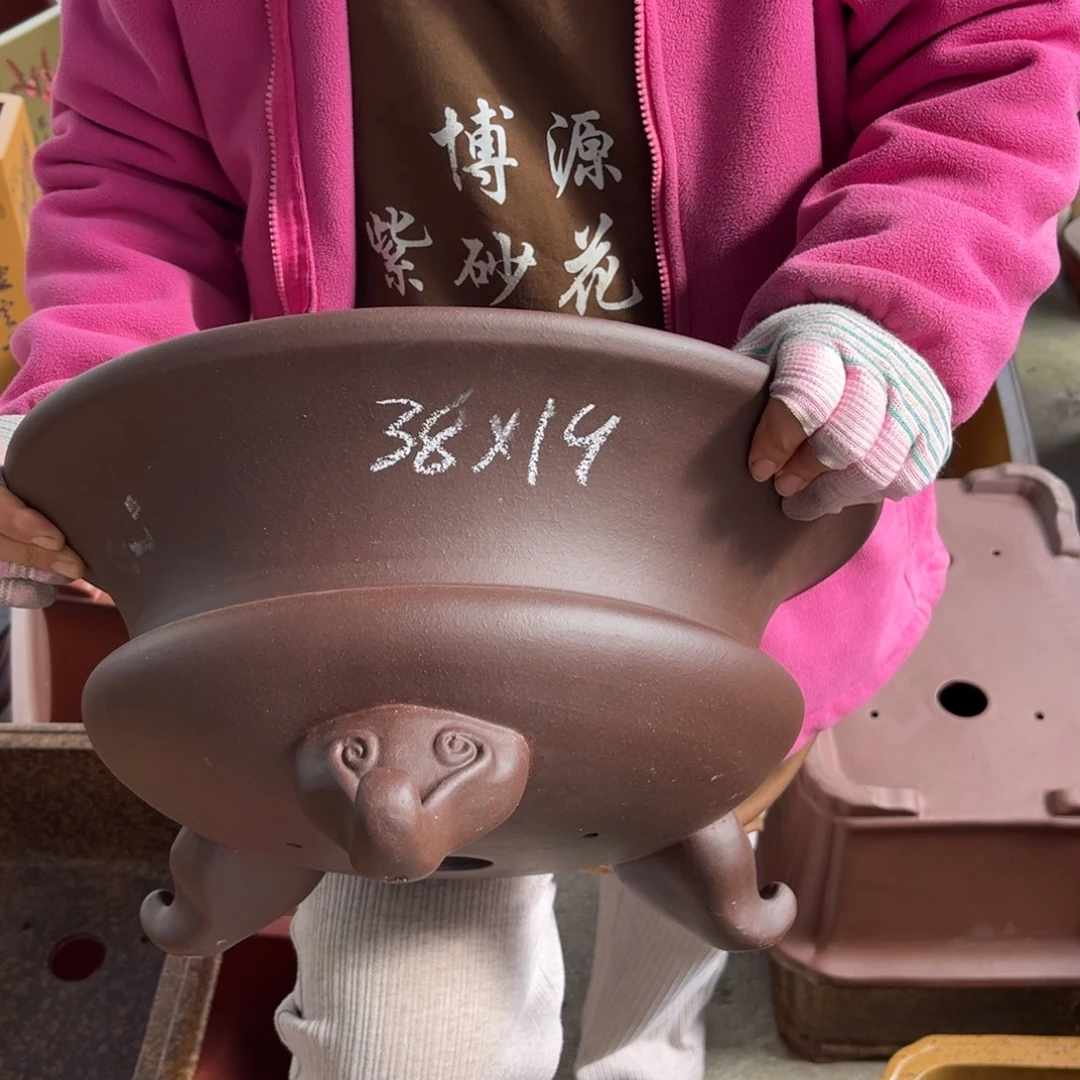 花盆紫砂盆景艺术