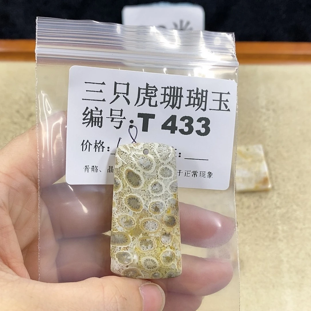 硅化珊瑚（珊瑚玉）1未镶嵌星**