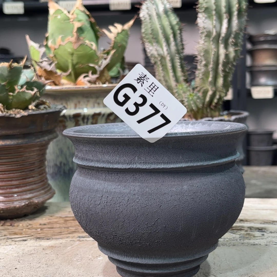 陶内口12.5高10.5景德镇