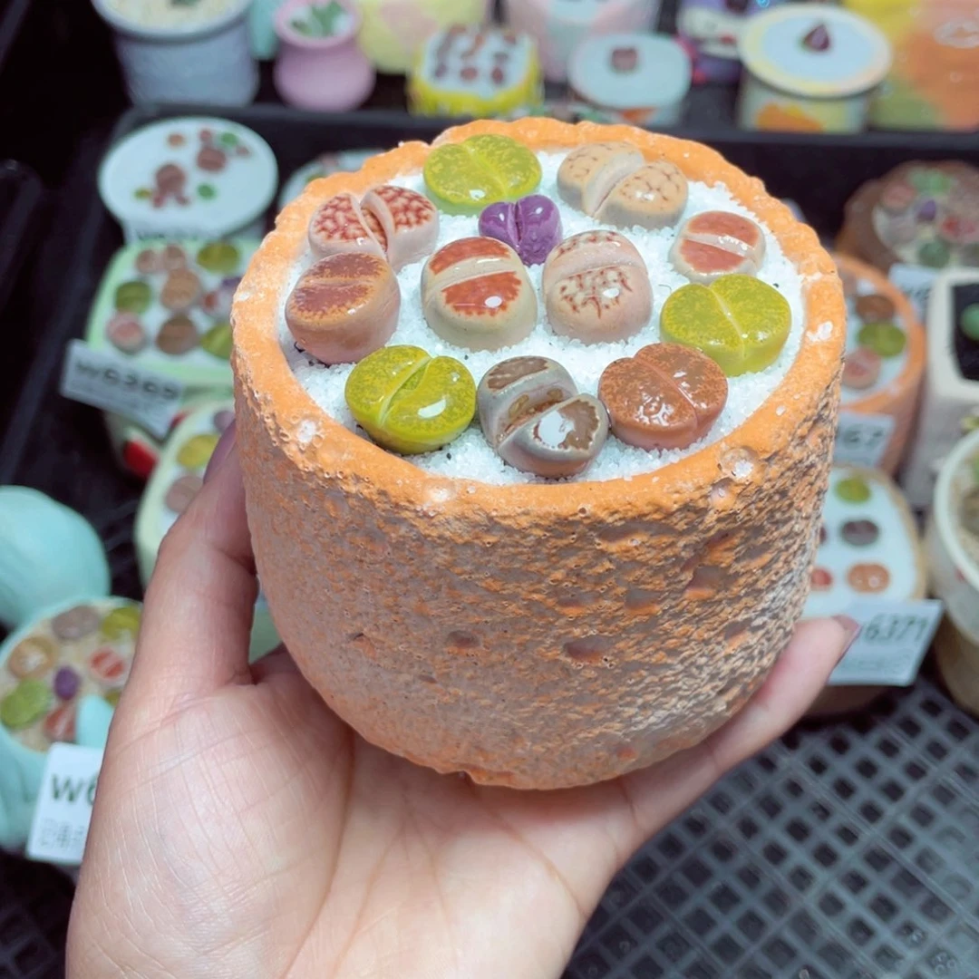 w6375 -零下地区拍保温箱-15支持寄养