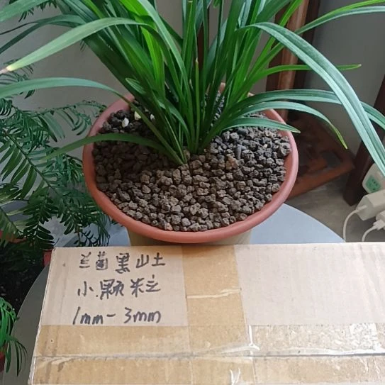 H****兰菌颗粒小颗粒6.6斤