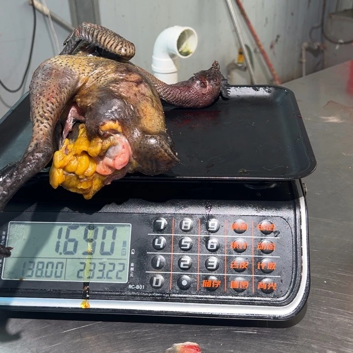 一号土鸡食用农产品中国大陆宝*呗