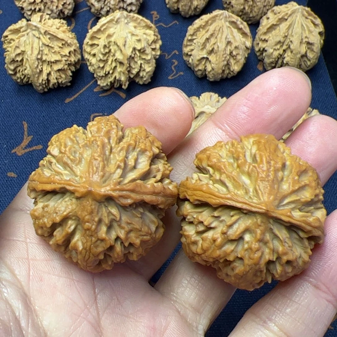 文玩核桃把件秦岭野生植物核桃