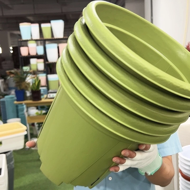 青山口32高28果绿无托5个