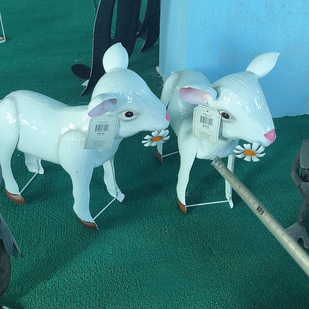 孤品炸炸炸炸炸炸