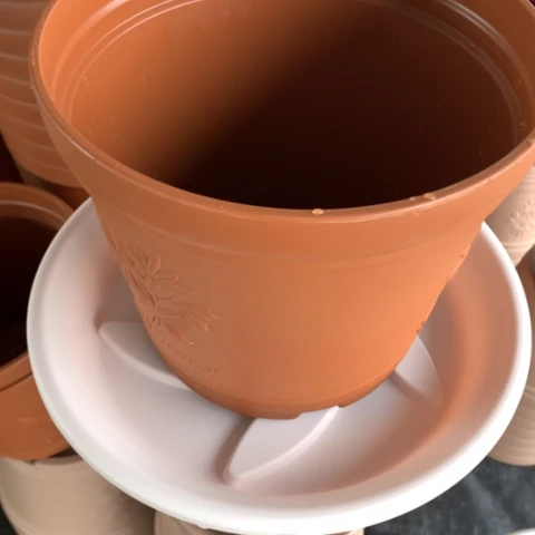 树脂独**欢6个中号陶红无托