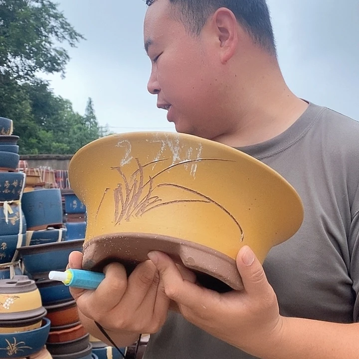 紫砂花盆盆栽观赏植物