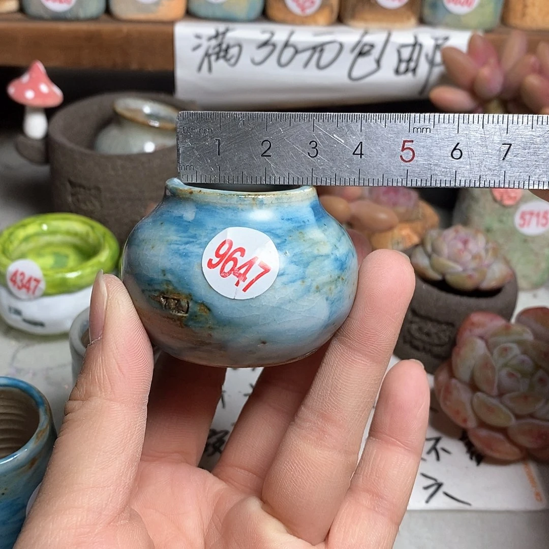 红陶拍5送一个小