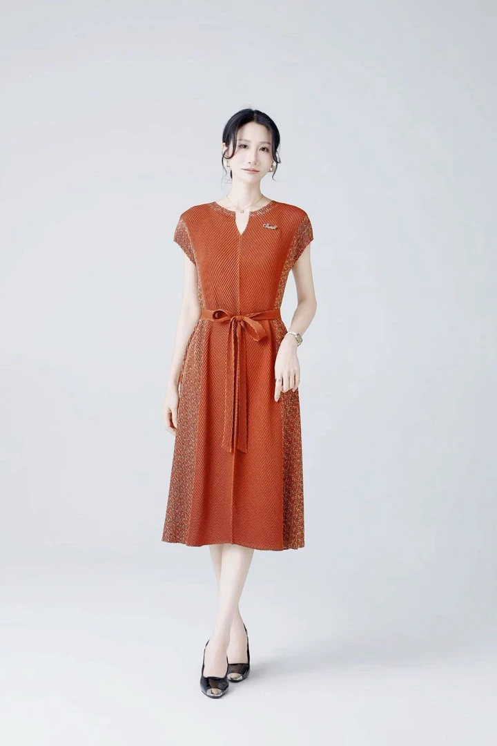 2025-006褶皱设计师新款洋气宽松连衣裙修身名媛时尚气质连衣裙