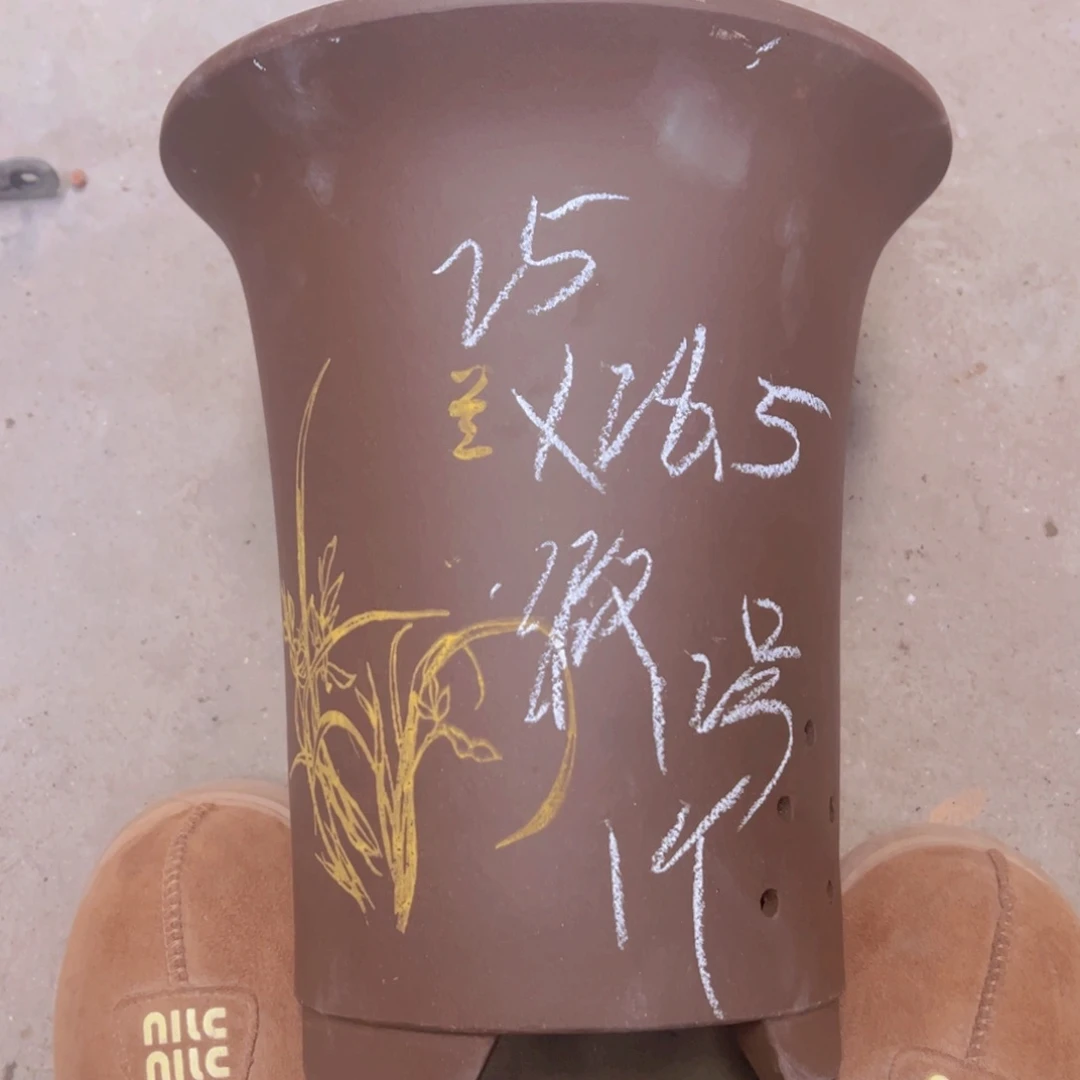 紫砂12号………………………………