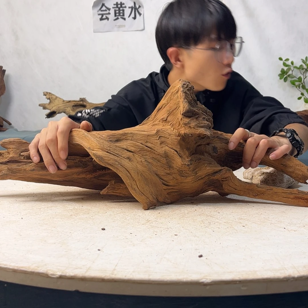 沉木造景寄居蟹景