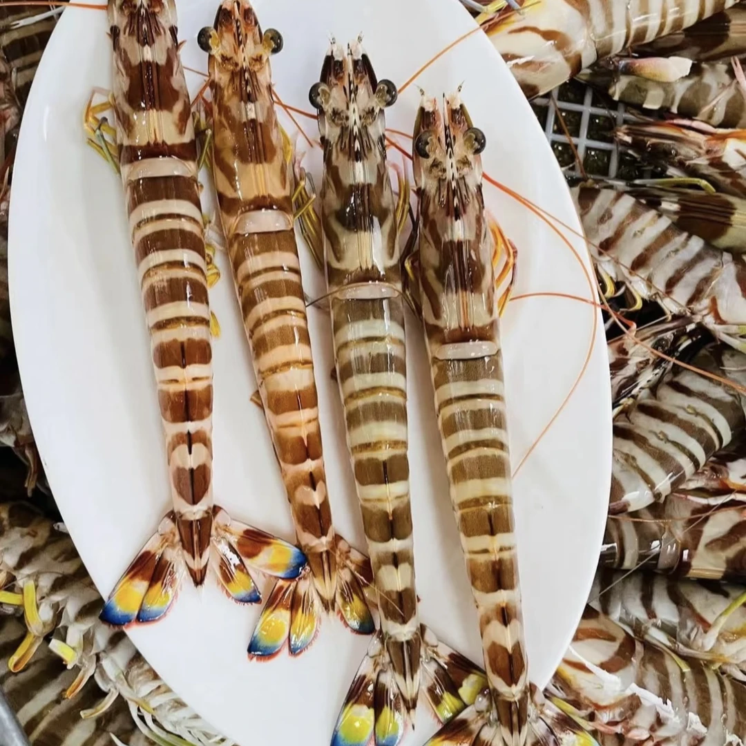 当季海捕野生斑节虾 九节虾 竹节虾 满满虾青素 蛋白质小孩馋哭了