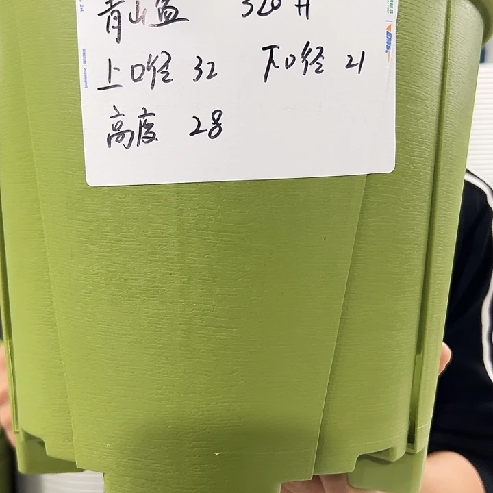 正品青山口32高28果绿5只无托