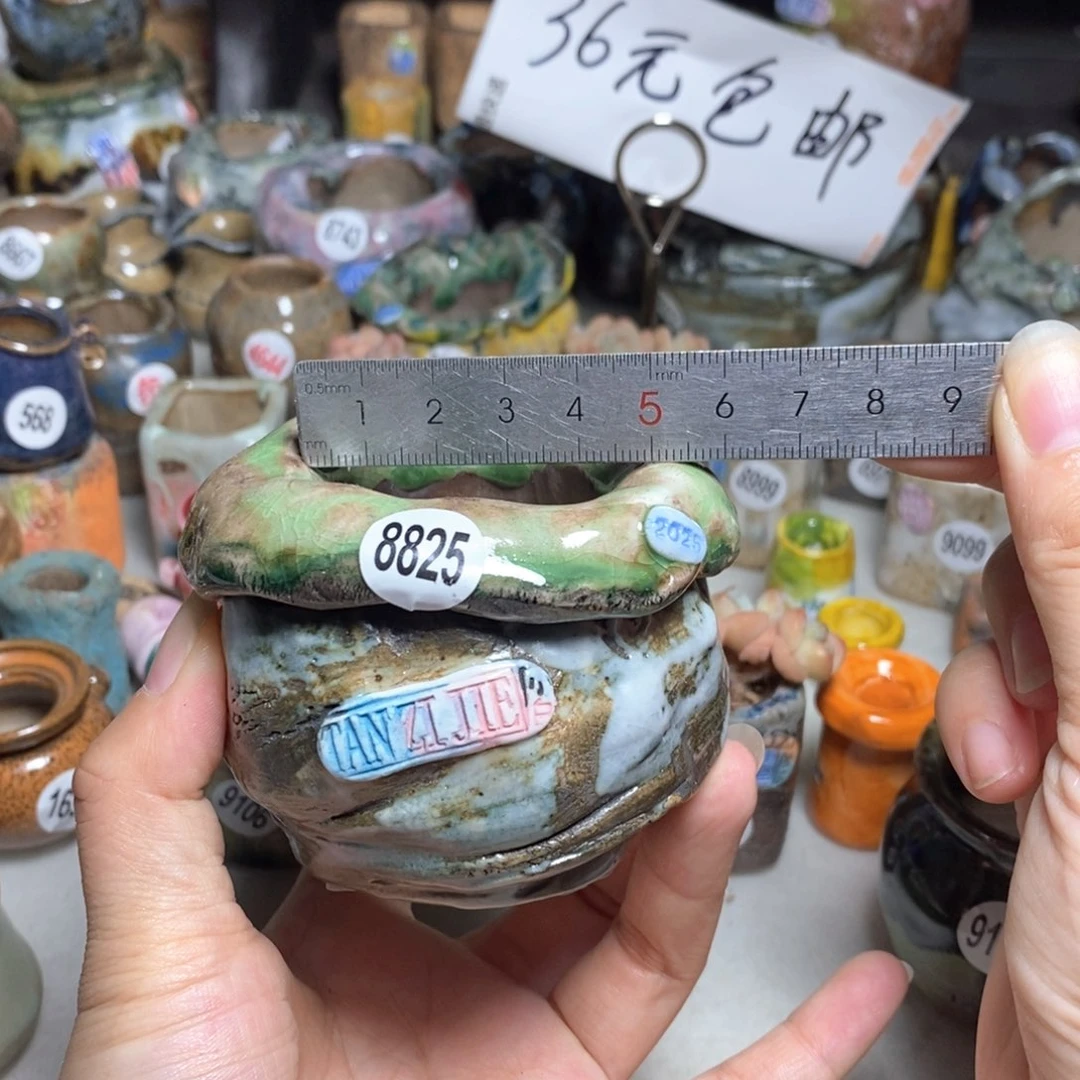拍2送一个小礼物
