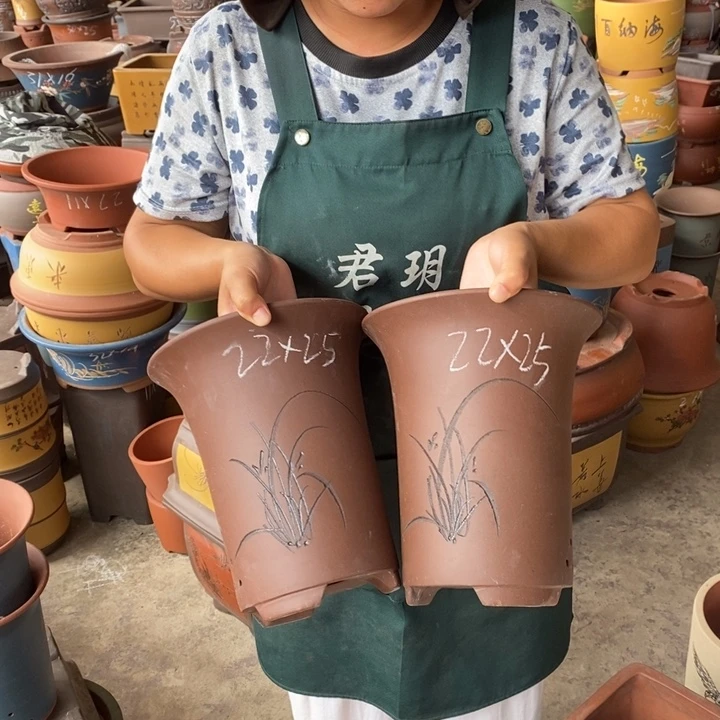 紫砂花盆盆栽花卉苗木种植