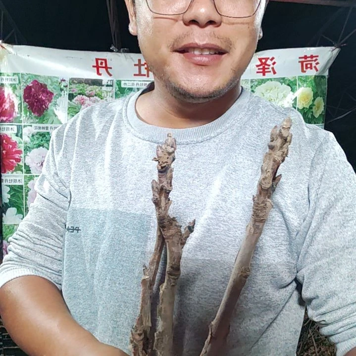 当前无花栽培后可以开花芳季.......