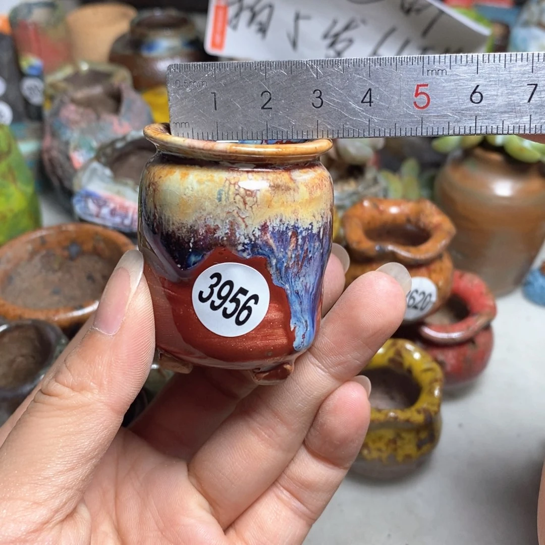 拍5送一个小礼物