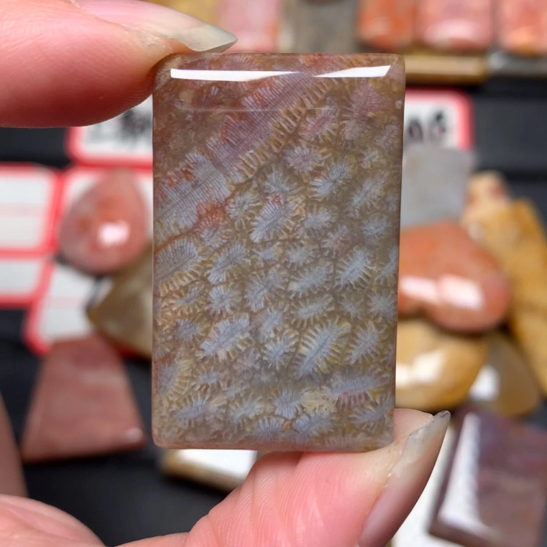 【闪购商品】未镶嵌颈饰硅化玉T***y