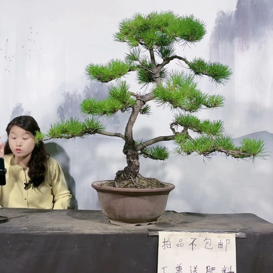 【闪购商品】无花朵运费到付