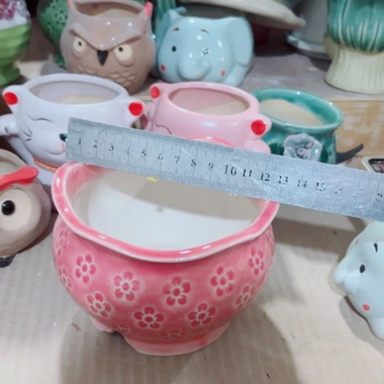 红陶11111111111111