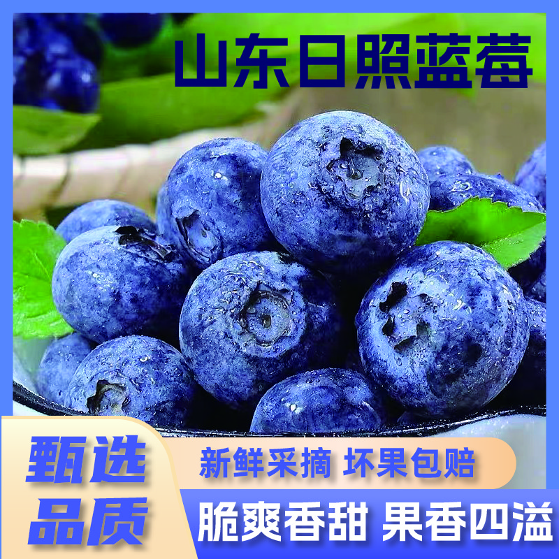 [买两盒送两盒顺丰京东空运四盒装正宗花香蓝莓新鲜采摘100g*4-XM