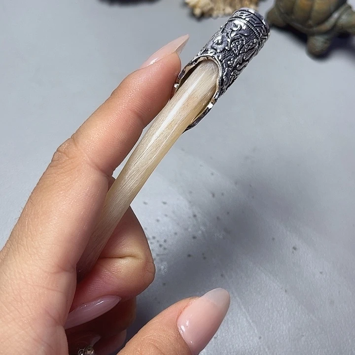 大果紫檀（缅甸花梨）
