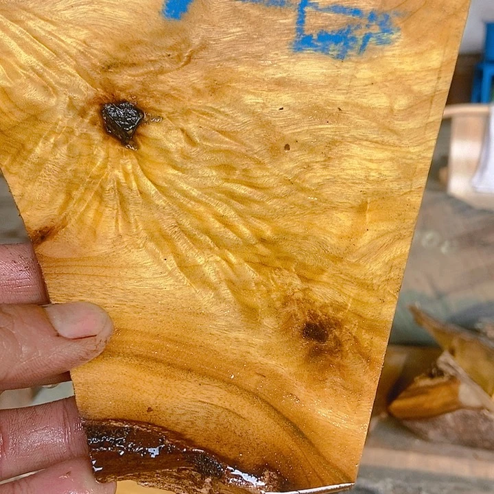 楠木（金丝楠）其他海****民