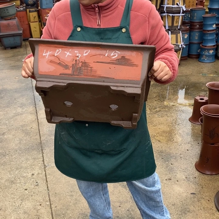 紫砂花盆盆栽花卉苗木种植