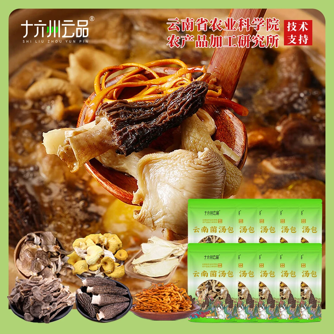 十六州云品云南菌汤包云南特产菌包真材实料干货土特产煲汤食材