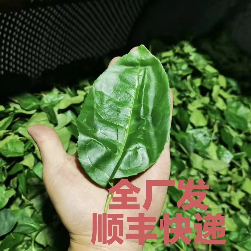 2025【中下火雪梨佛手】250克稀有品种冰糖雪梨幽香