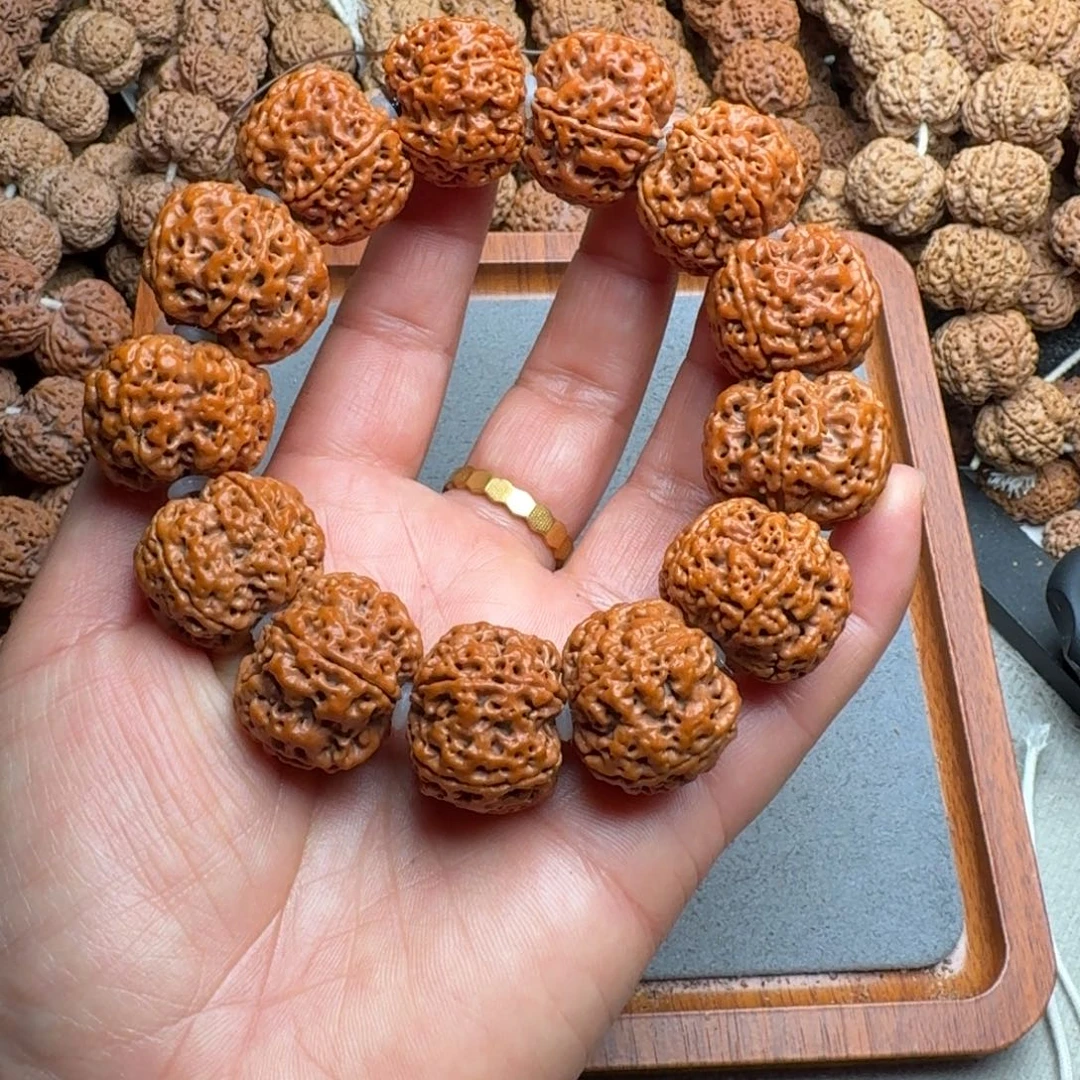 菩提菩提5号尼泊尔大金刚25梅花蜂窝