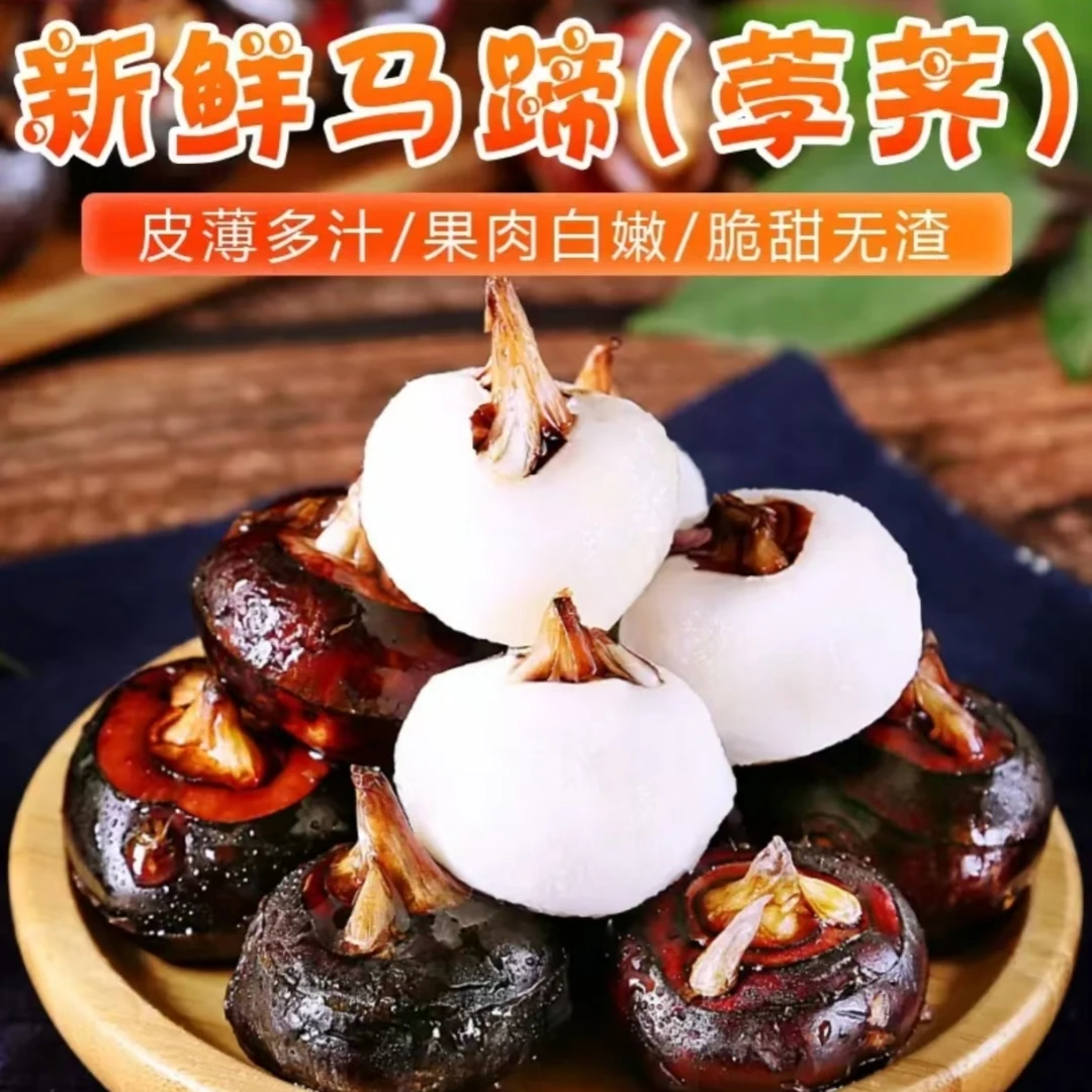 马蹄（荸荠）贵州特产新鲜现挖现发带泥发货耐贮存