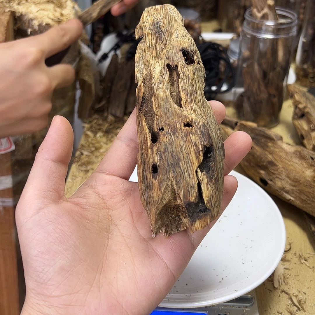 木绿奇楠虫漏54克