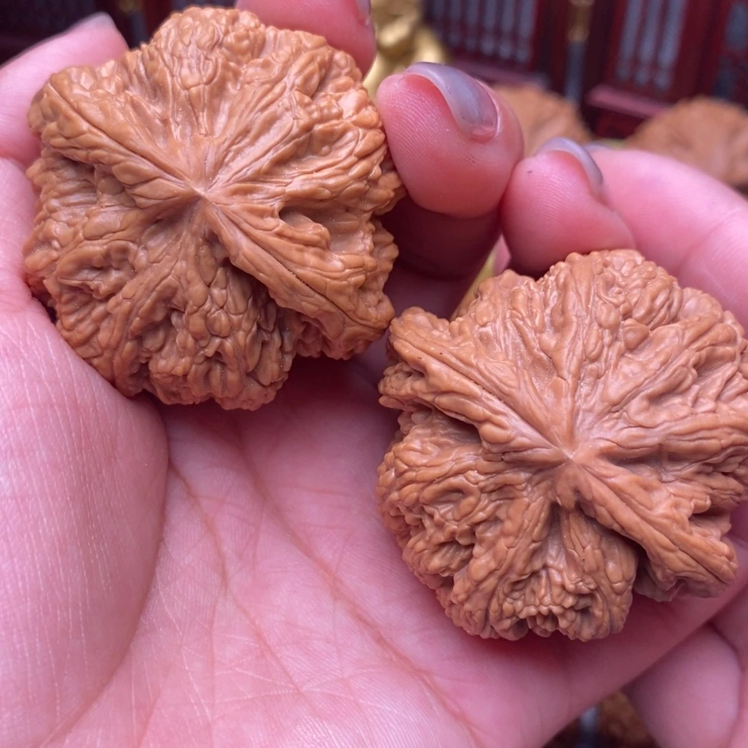 文玩核桃把件毕业大粗筋47全品