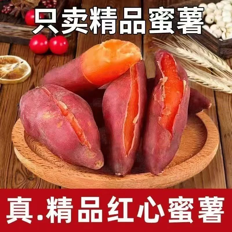 【新鲜现挖】西瓜红蜜薯红心蜜薯沙地番薯软糯香甜皮薄农家自种