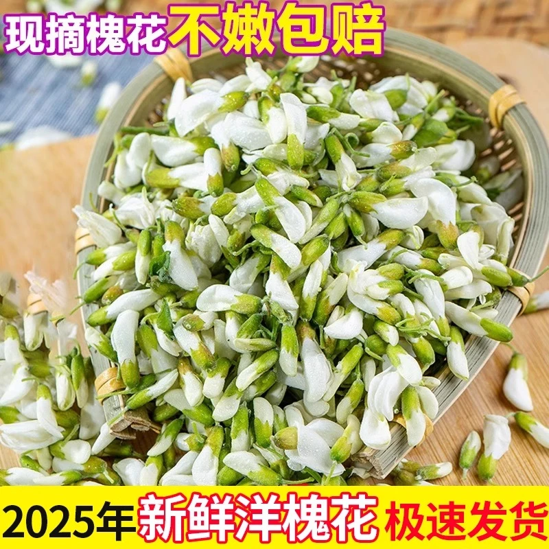 洋槐花2025新鲜槐花现采现发（冷链发货，保温箱+冰块发出）