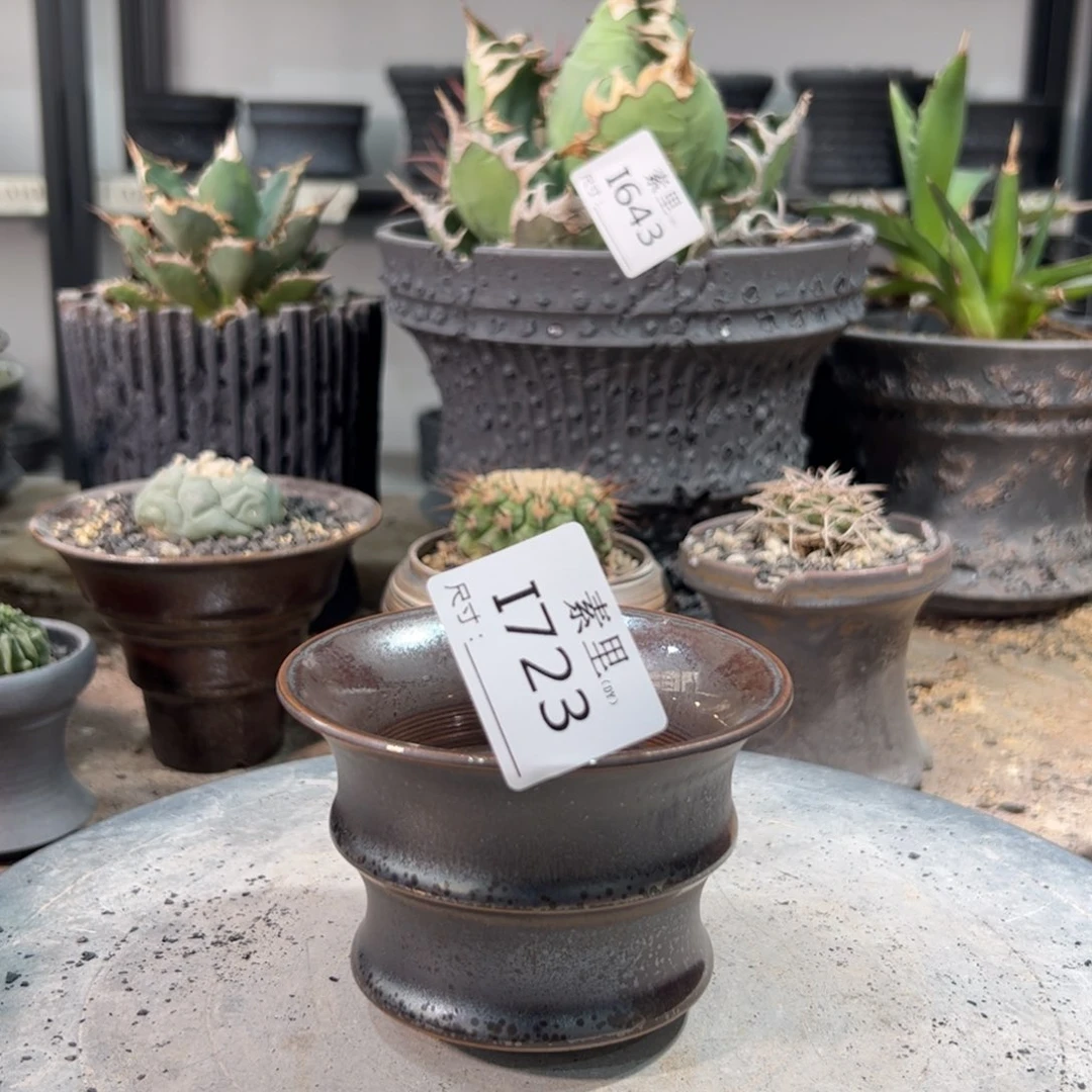 景德镇素里手工内口10高7