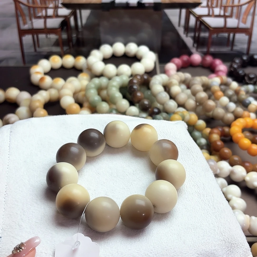 菩提根/象牙果吊坠卡23.7