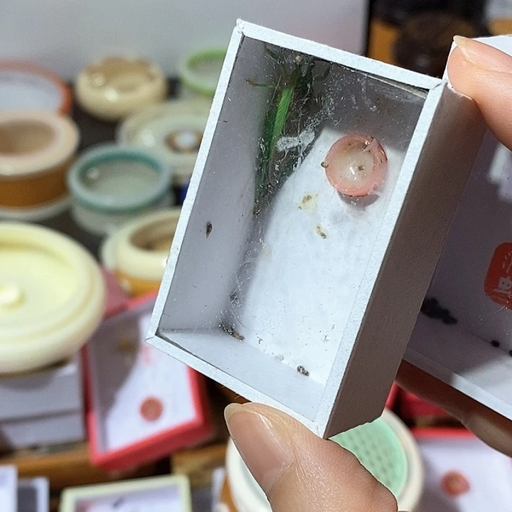 伟***喵霍氏-喵z x c cv v b