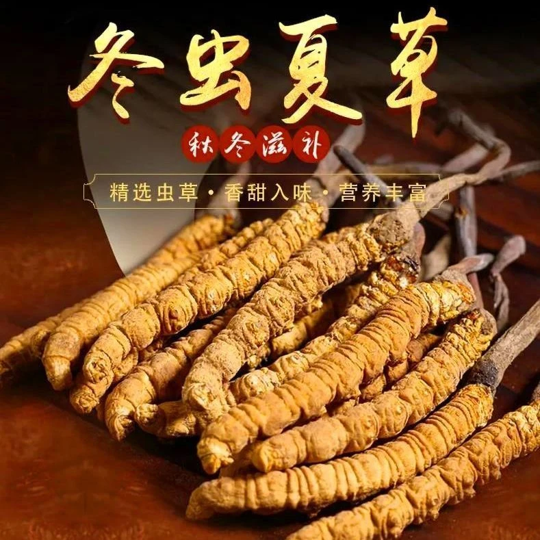 正宗西藏虫草新干冬虫夏草精选泡酒滋补精选源头送礼礼盒装年货
