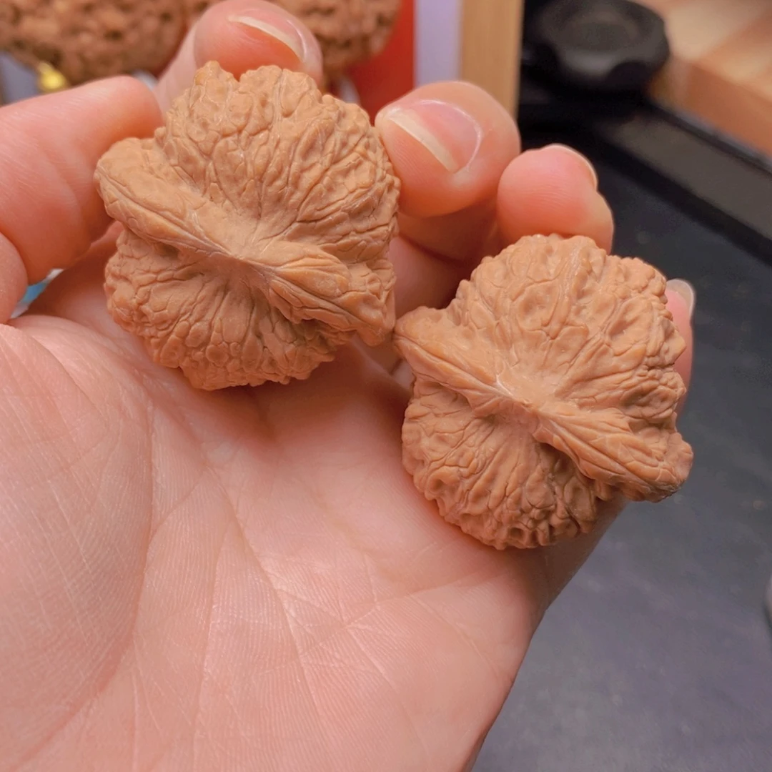 40边38肚全品血麒麟