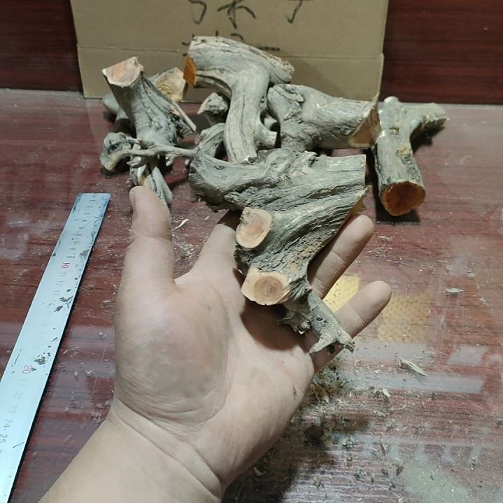 三****大果紫檀（缅甸花梨）