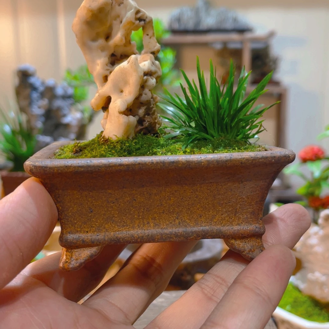 完全开放0000000008