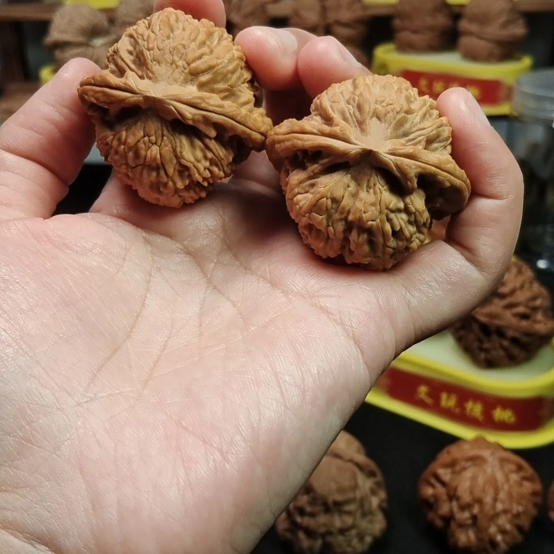 文玩核桃把件白狮子