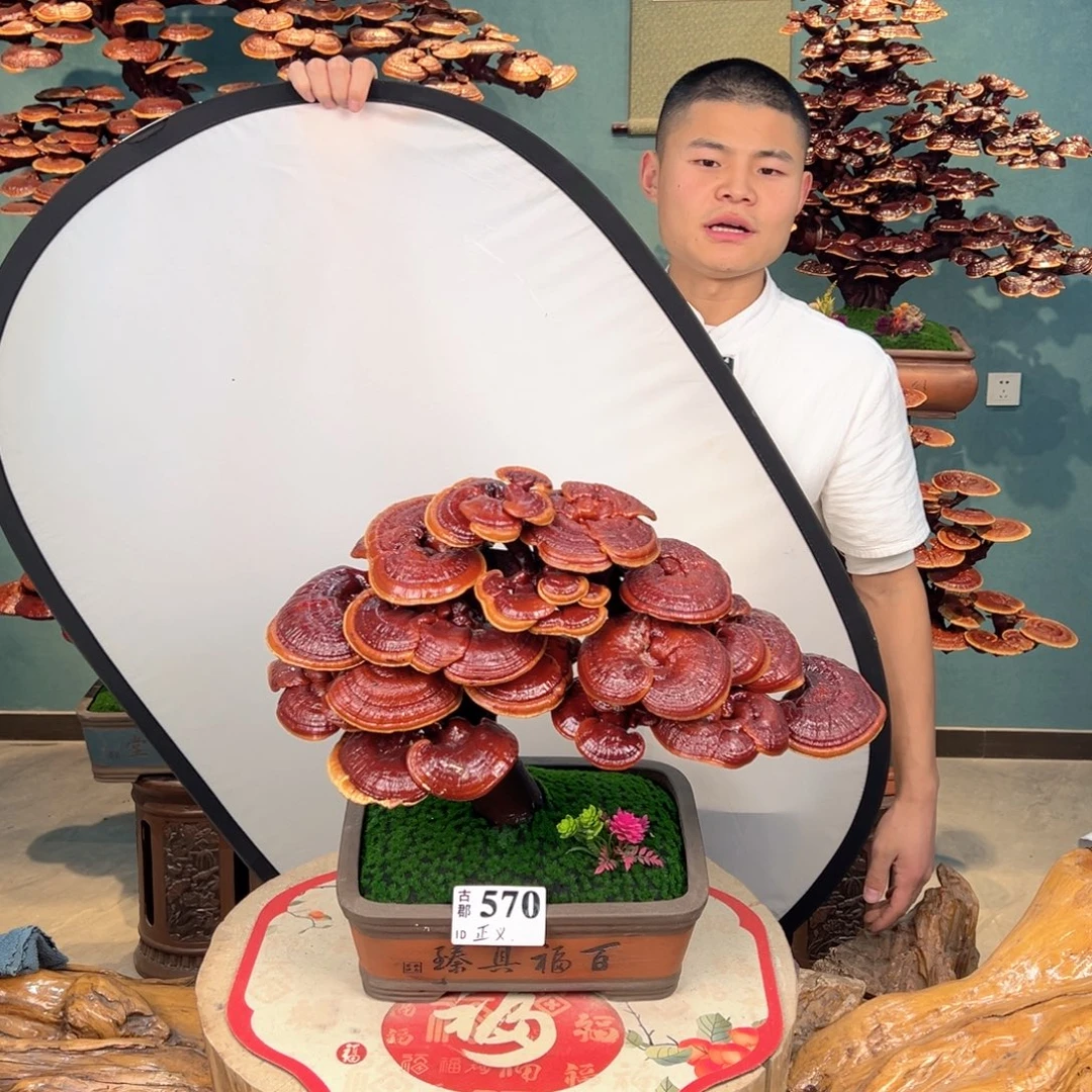 无花朵484848484848