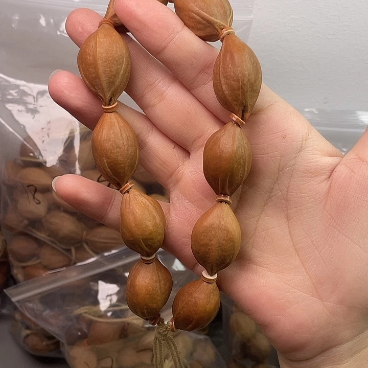 手串/手链橄榄核梅林铁核1830手串