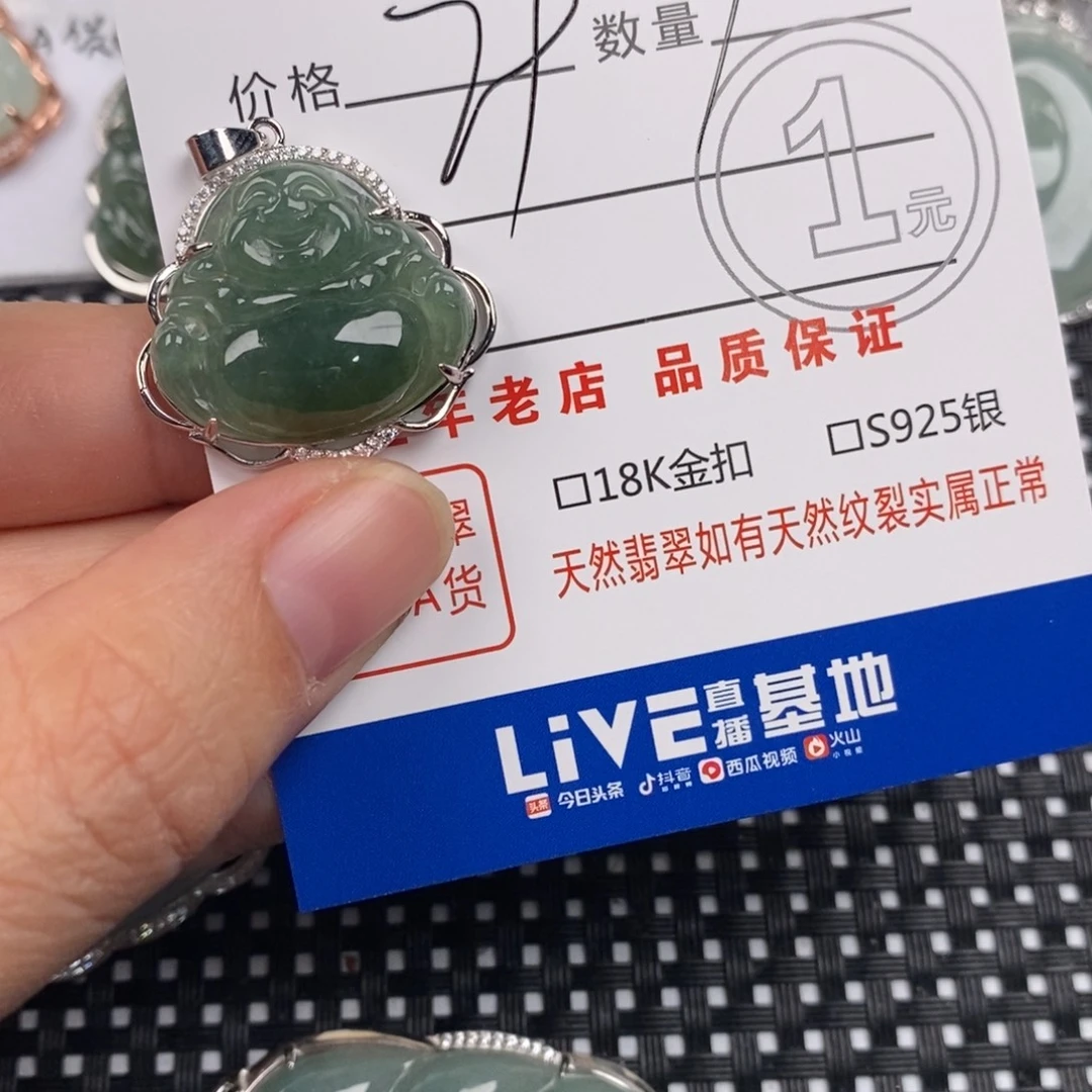 *****翡翠银S925镶嵌颈饰